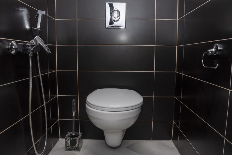 Modern Toilet Installations